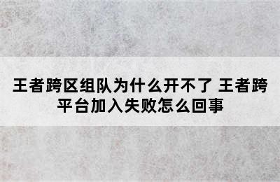 王者跨区组队为什么开不了 王者跨平台加入失败怎么回事